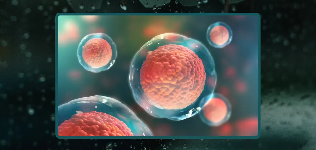 ร่างกายใช้เวลาถึง 680 วัน ในการล้างพิษจากน้ำมันพืชที่เราทานการมานาน