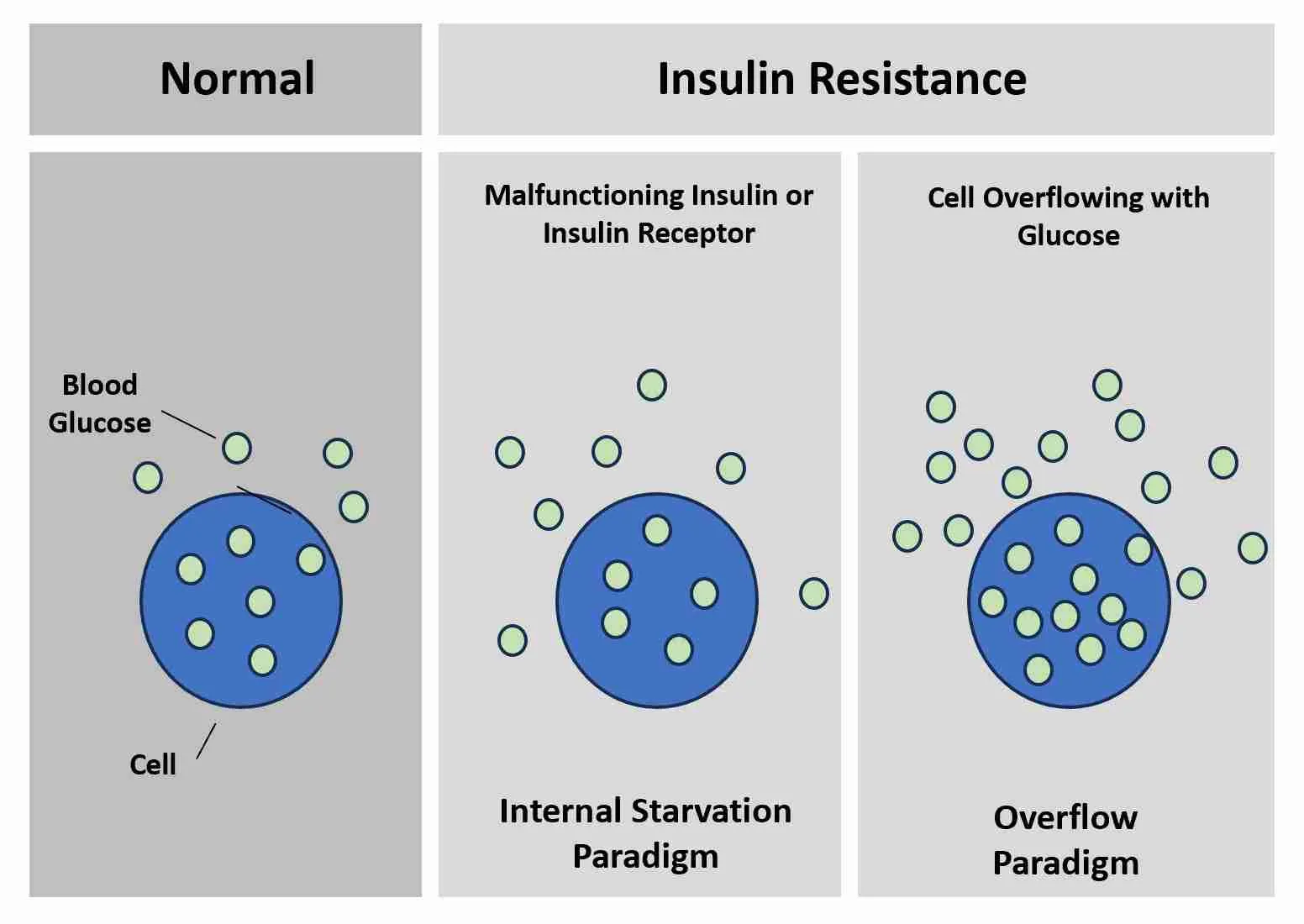 Fasting Insulin บอกอะไรเรา